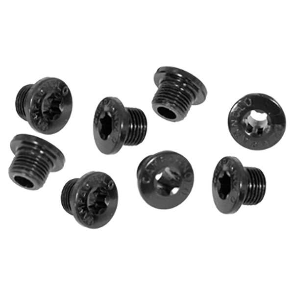 Campagnolo Super Record Disc Brake Screws