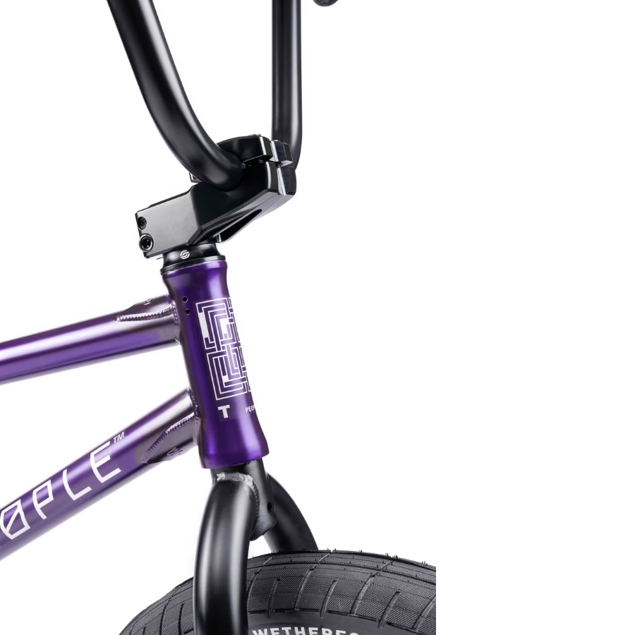 We the People Trust RSD CS 20 inch BMX Bike