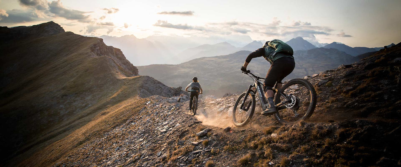 DISTRIBUTION_BANNER_DESKTOP.jpg__PID:a20ce796-dc2b-4621-89b8-c28d615dd0f4