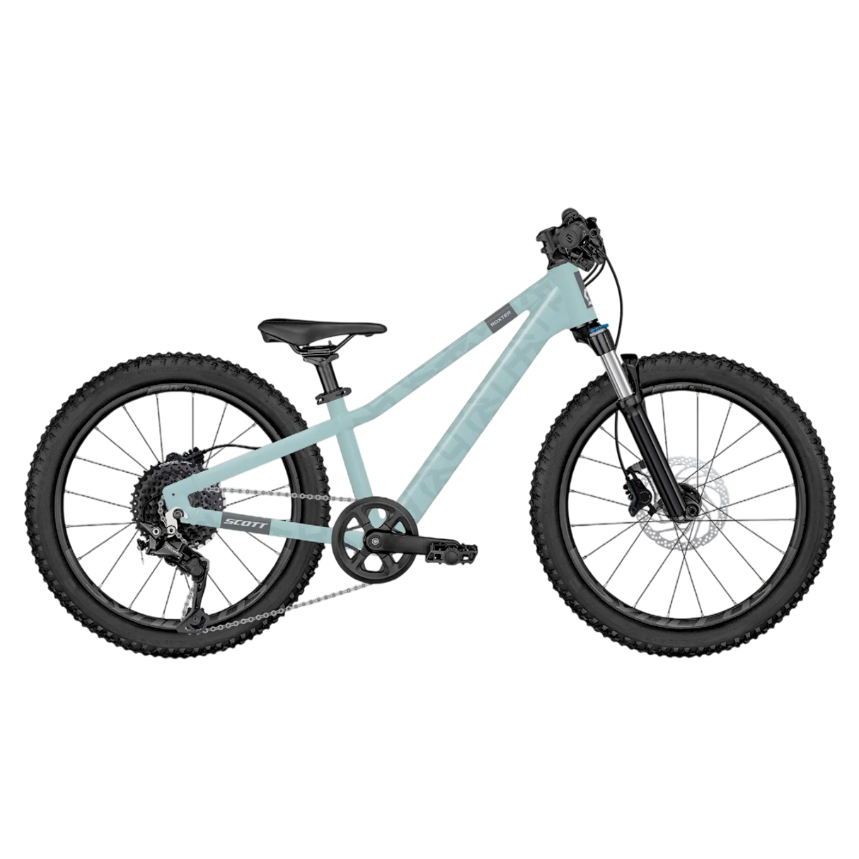 Scott Roxter 200 Kid's Mountain Bike