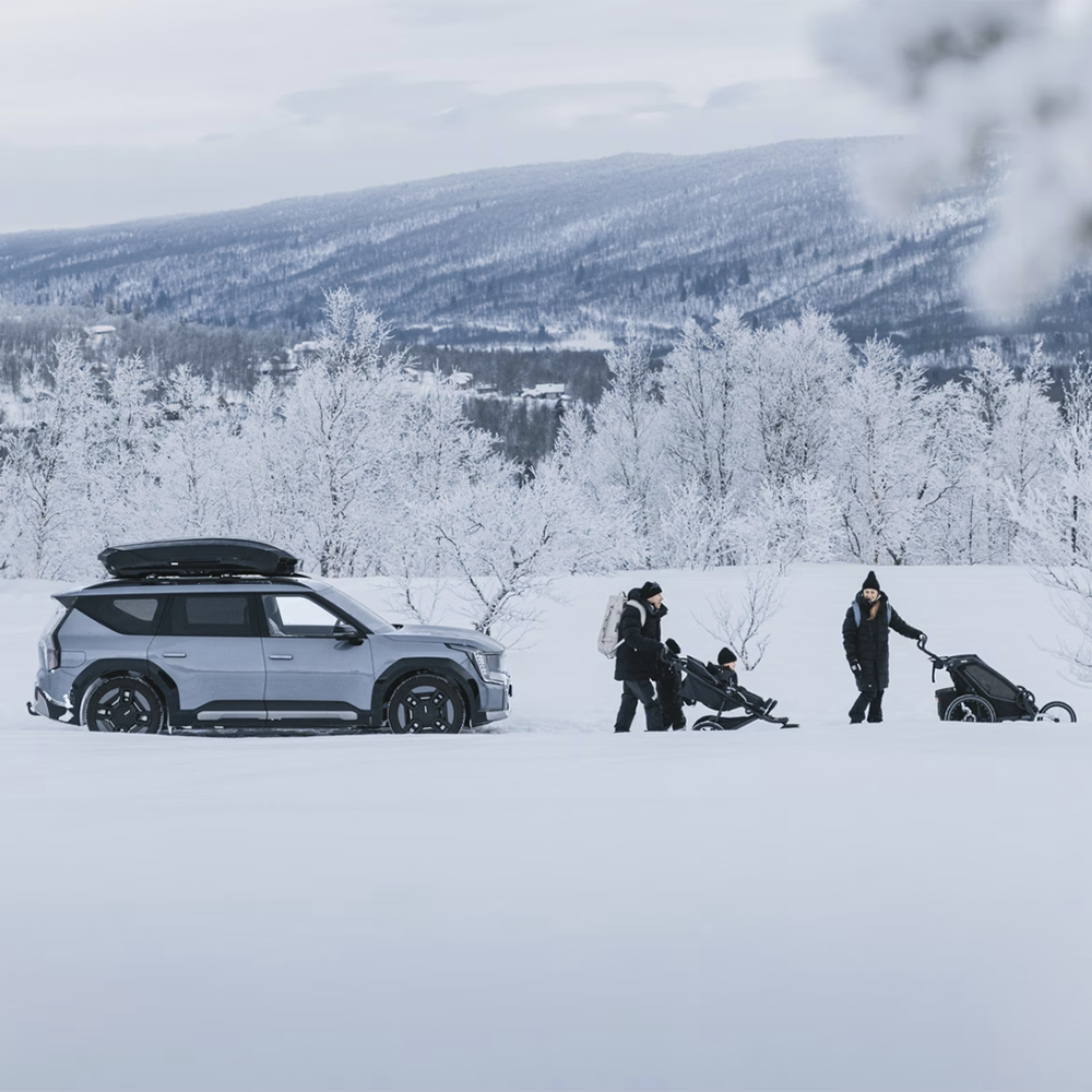 Thule Motion 3 Roof Box