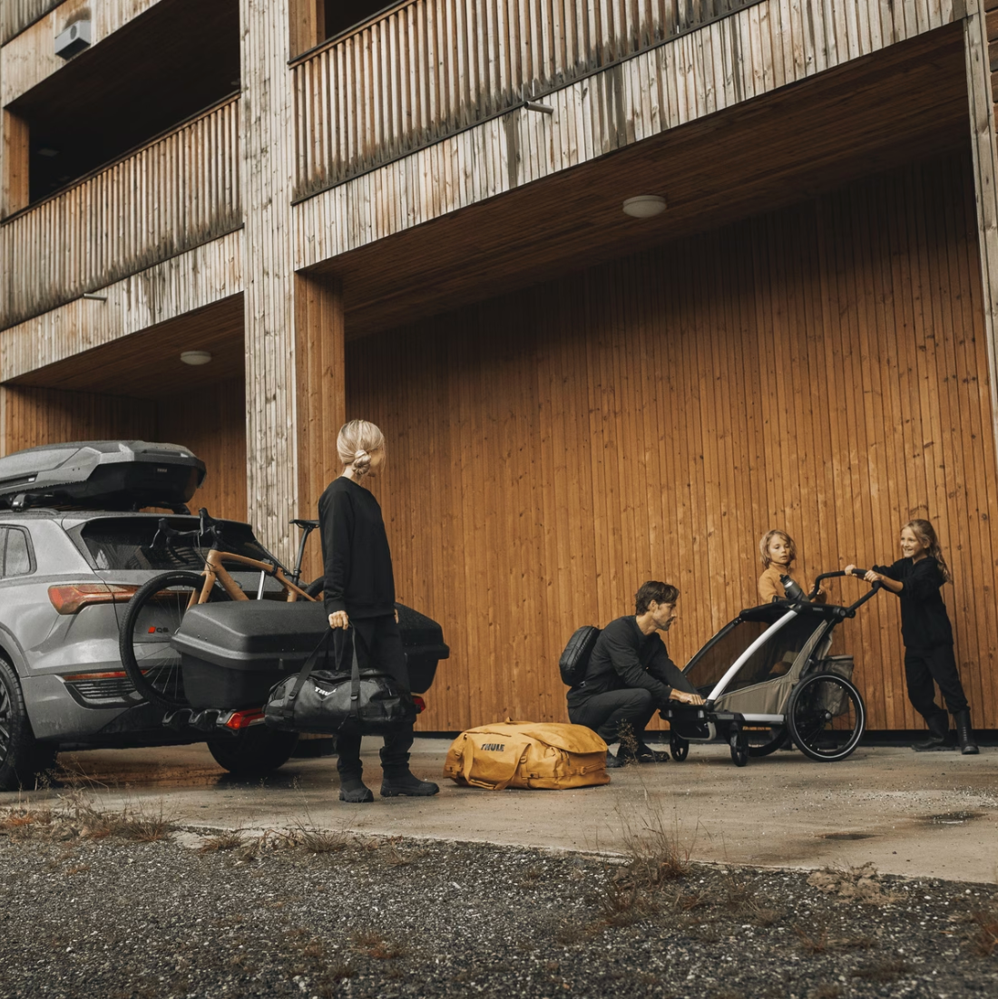 Thule Santu Towbar Cargo Carrier
