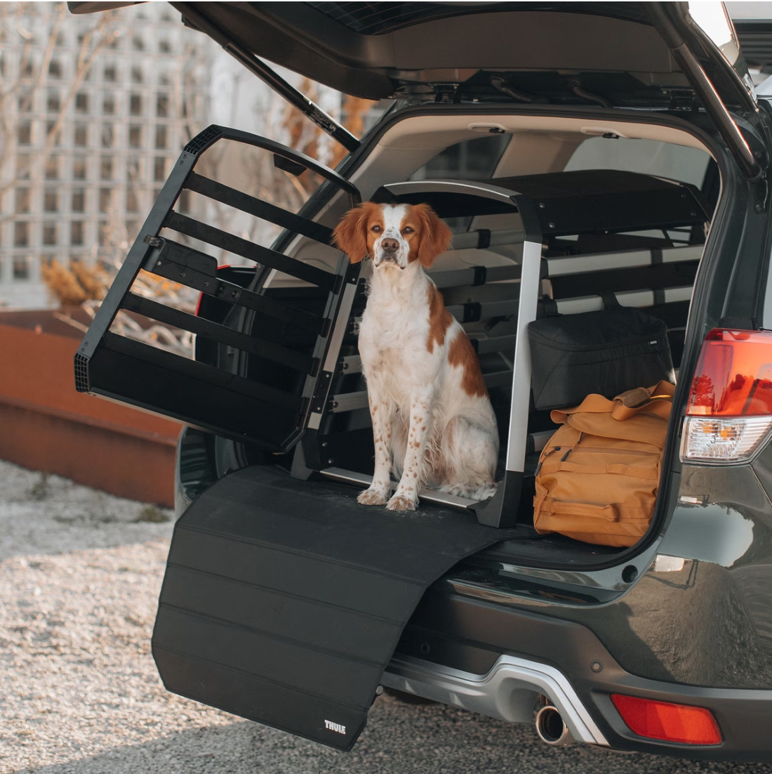 Thule Allax Dog Car Crate