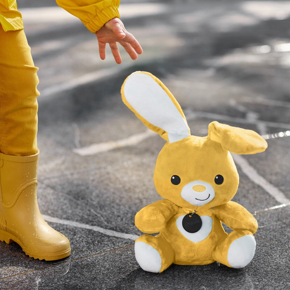 Chipolo Spot (Chipolo ONE Spot and CARD Spot) Bundle