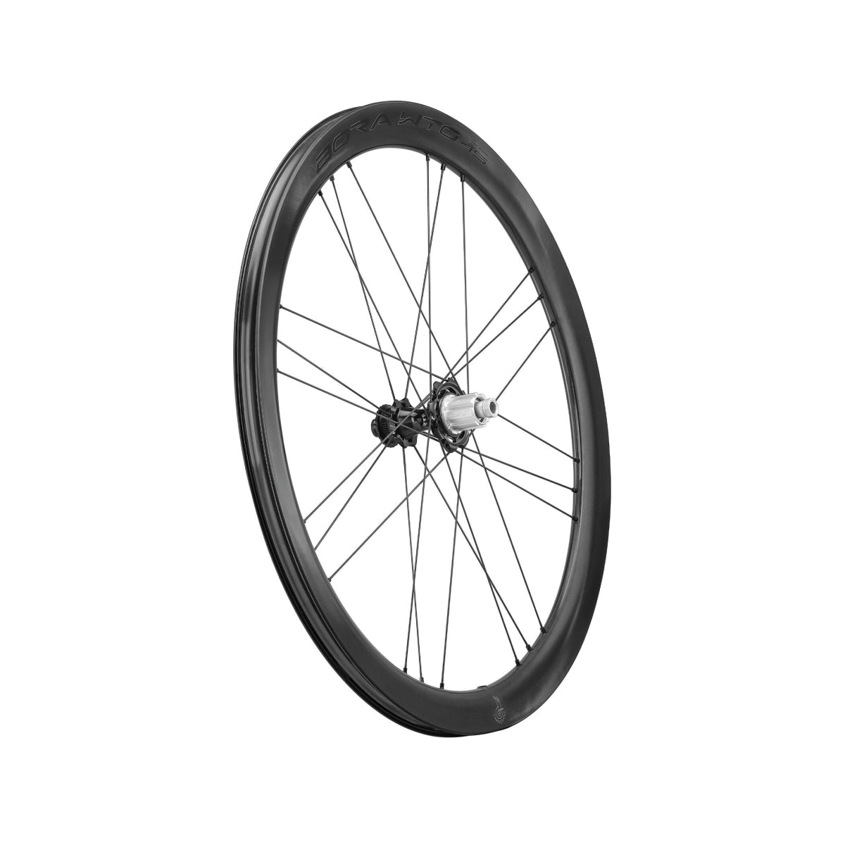 Campagnolo Bora WTO 45 DB 2WF Matt C23 Pair