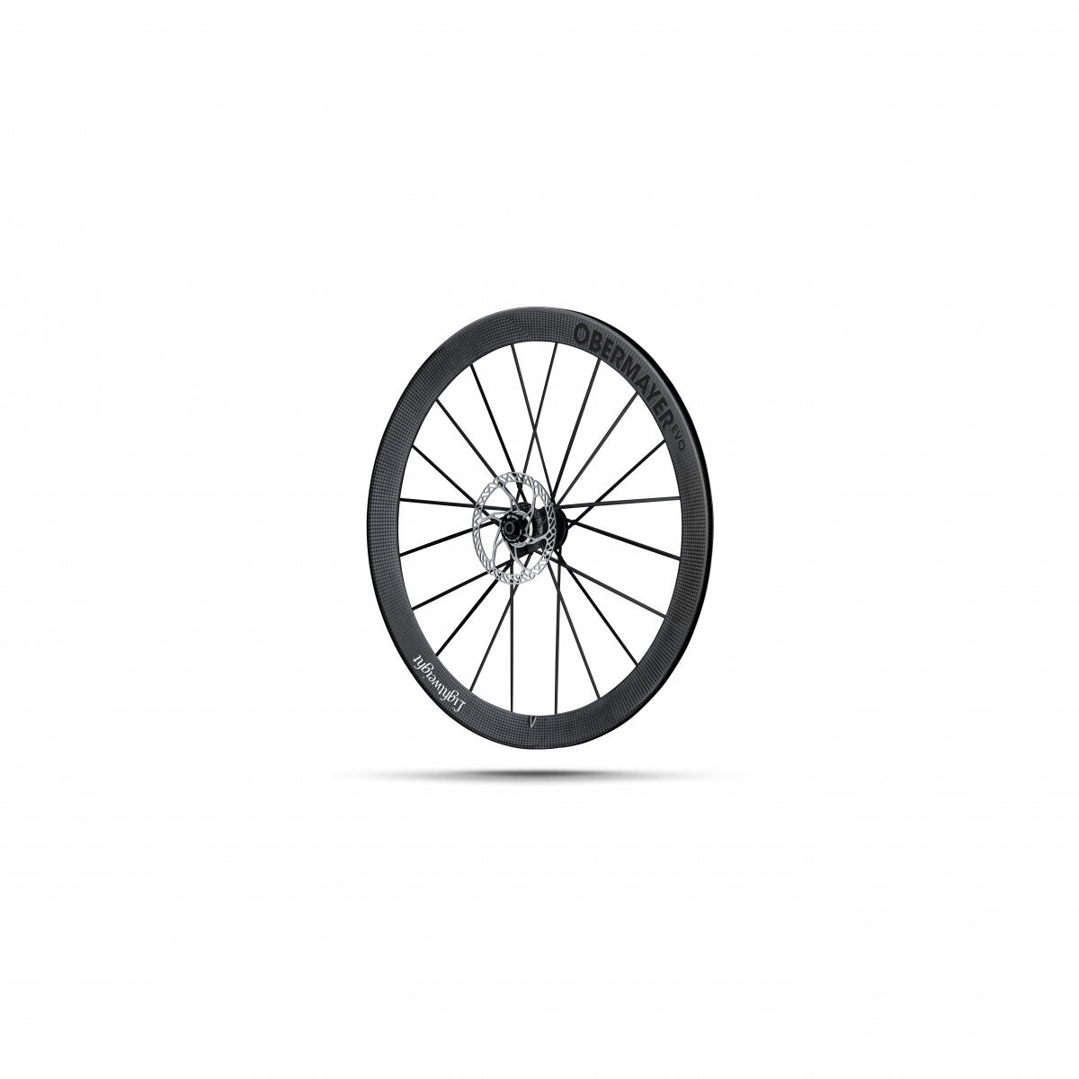 Lightweight Obermayer Evo Disc Wheelset