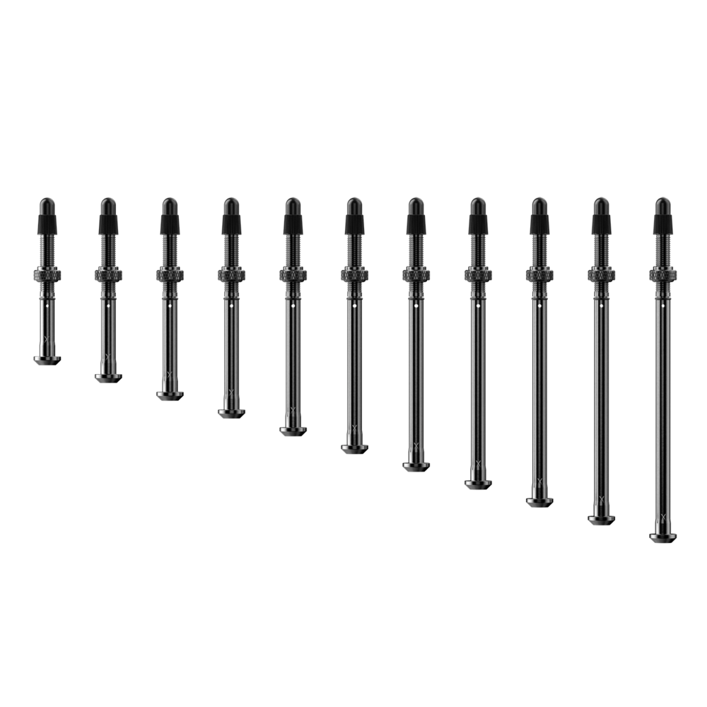 SRAM TyreWiz 2.0 Valve Stem Pack E1