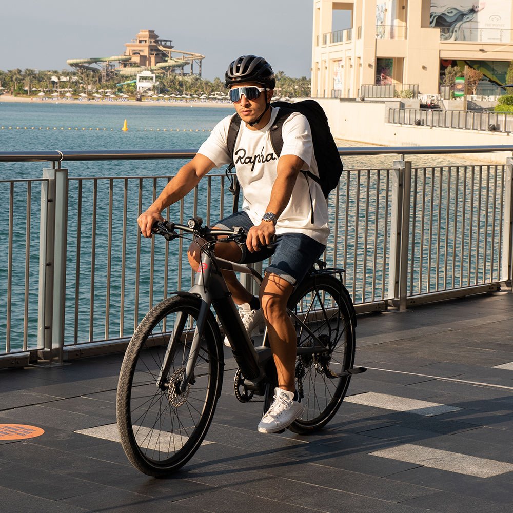 Logo FS10 Electric Bike - Wolfis