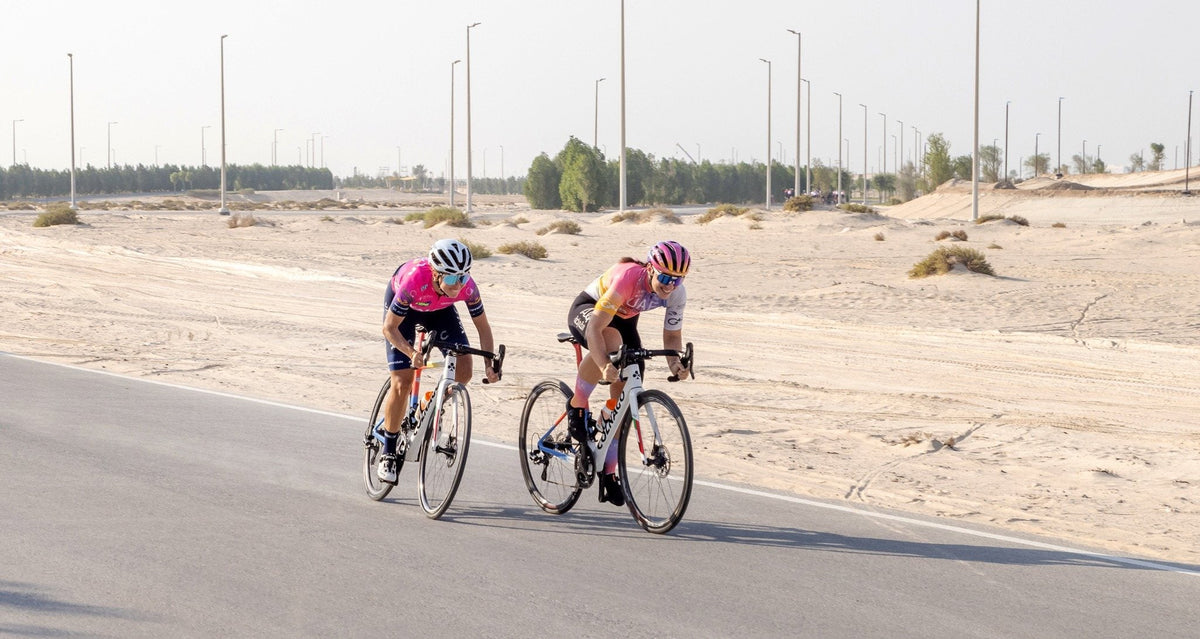 Group of road cyclists wearing Wolfi's cycling jerseys riding together on a paved road.