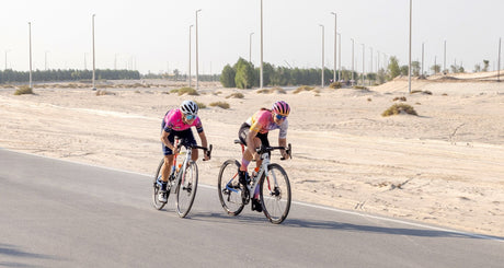 Group of road cyclists wearing Wolfi's cycling jerseys riding together on a paved road.