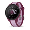 Garmin Forerunner 165 Standard & Music Edition Smart Watch