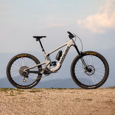 Santa Cruz Heckler