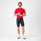 Castelli Competizione 2 Bibshort