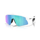 Oakley Stunt Devil Sunglasses