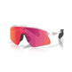 Oakley Stunt Devil Sunglasses