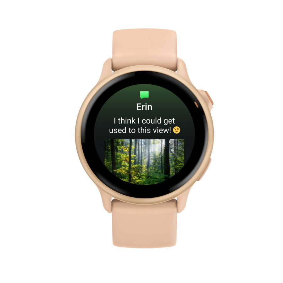 Garmin Vivoactive 6 Smartwatch