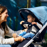 Thule Spring Canopy