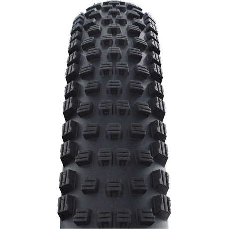 Schwalbe Wicked Will Performance Folding MTB Tire