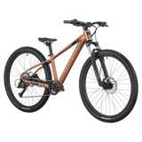 Scott Roxter 600 Mountain Bike