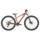 Scott Roxter 600 Mountain Bike