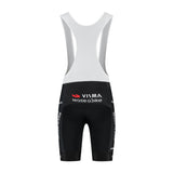 Rapid Gear Team Visma 2026 Men's Bibshort