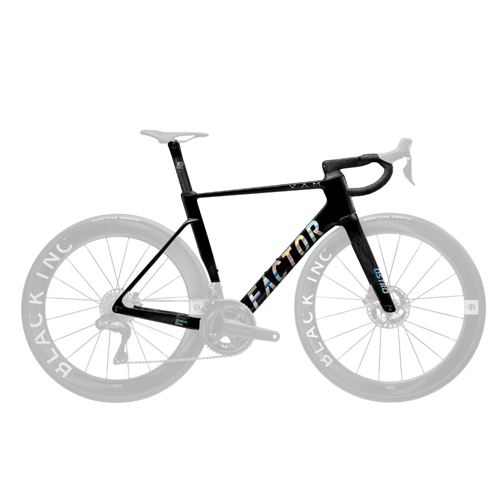 Factor Ostro VAM 2.0 Disc Road Bike Frameset