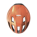 Abus Powerdome Helmet