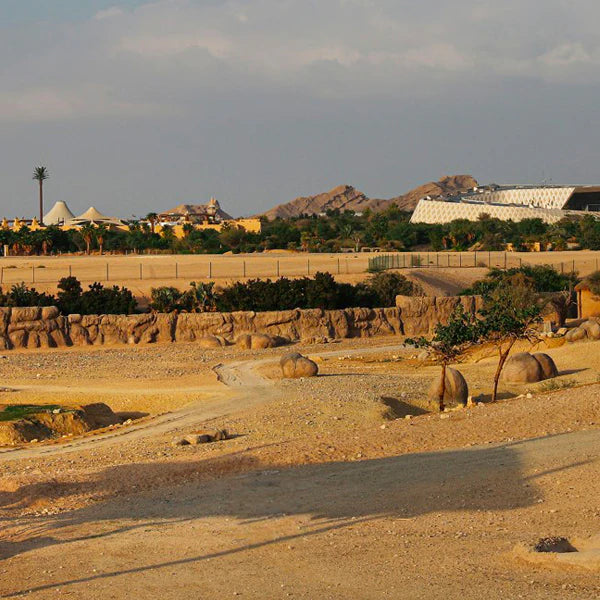 Al Ain Zoo MTB Bike Trail
