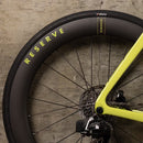 Cervelo P-Series Limited Edition Paris Green With Reserve Wheel Road Frameset