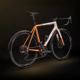 Colnago Steelnovo Road Bike
