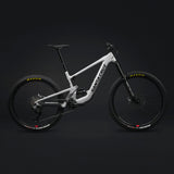 Santa Cruz Heckler SL 1 C MX R Kit E-Bike