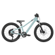 Scott Roxter 200 Kid's Mountain Bike