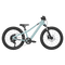 Scott Roxter 200 Kid's Mountain Bike