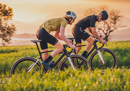 RENTAL BIKES
