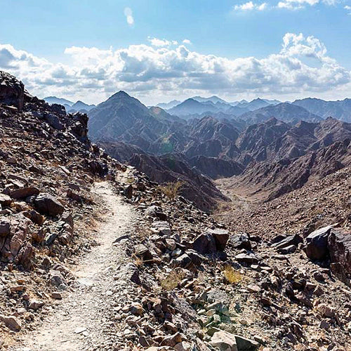 Shawka Mountain Bike Trail