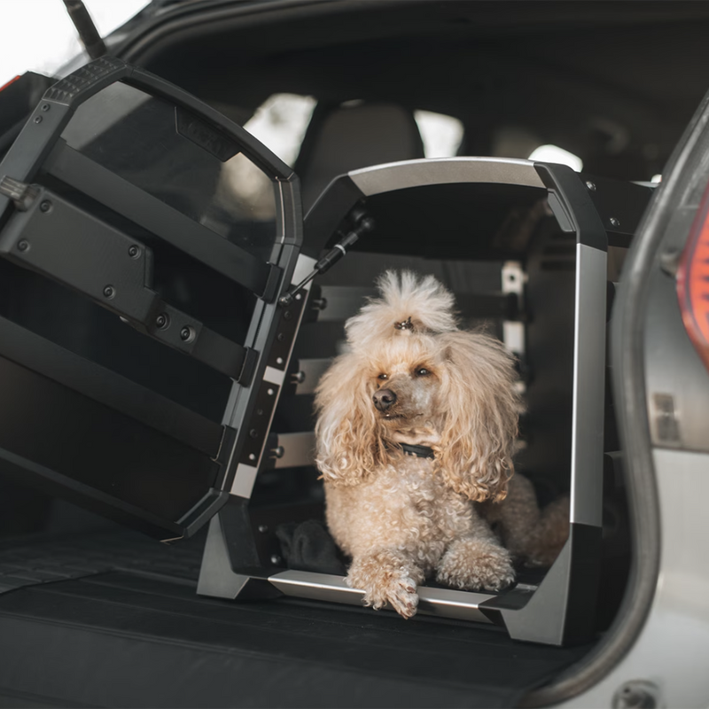 Thule Allax Car Dog Crate