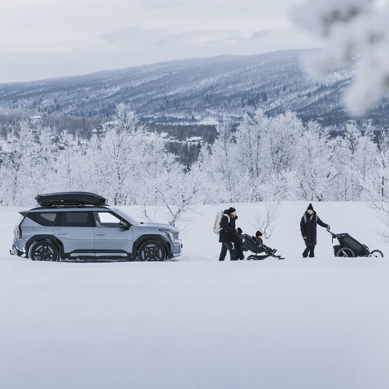 Thule Motion 3 Sport Roof Box