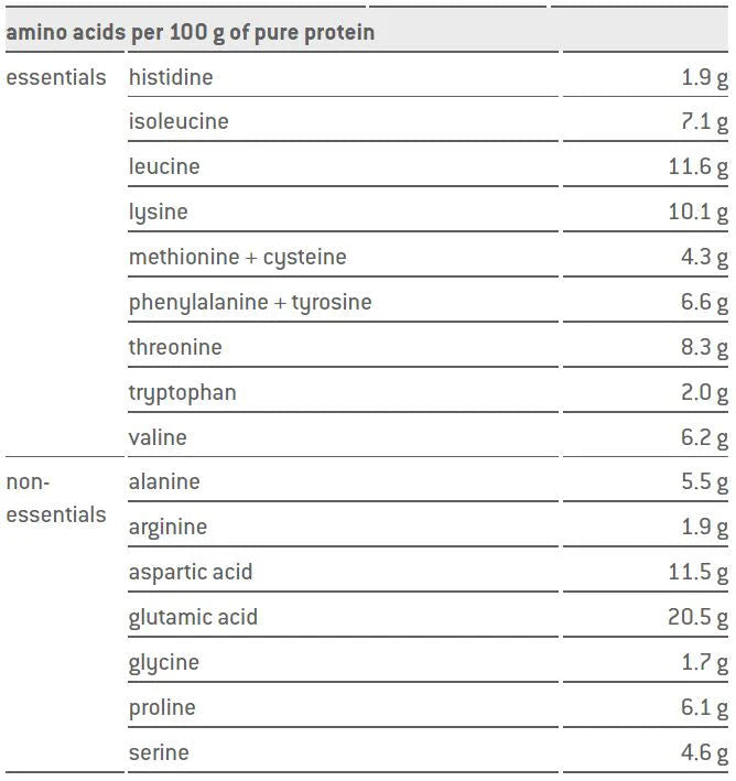 Sponser Whey Protein Isolate 94 Cafe Latte