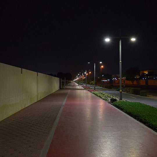 Sharjah National Park Track