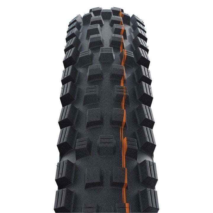 Schwalbe Magic Mary Gravity Pro Soft Folding MTB Tires