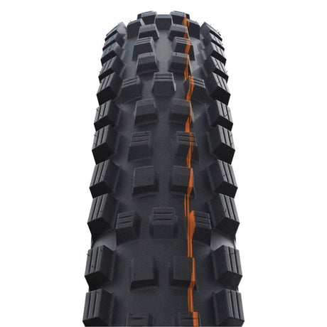 Schwalbe Magic Mary Gravity Pro Soft Folding MTB Tires