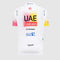 Pissei Team UAE Kids Jersey  Replica