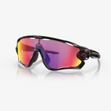Oakley Jawbreaker Sunglasses