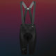 Pissei TADEJ POGACAR Primapelle Ultra Bibshort