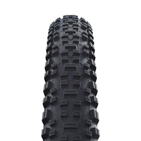Schwalbe Rapid Rob Wire Bead MTB Tire - 29 x 2.25"