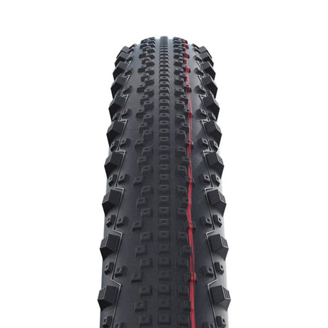 Schwalbe Thunder Burt Evolution MTB Folding Tire