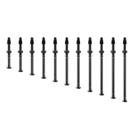 SRAM TyreWiz 2.0 Valve Stem Pack E1