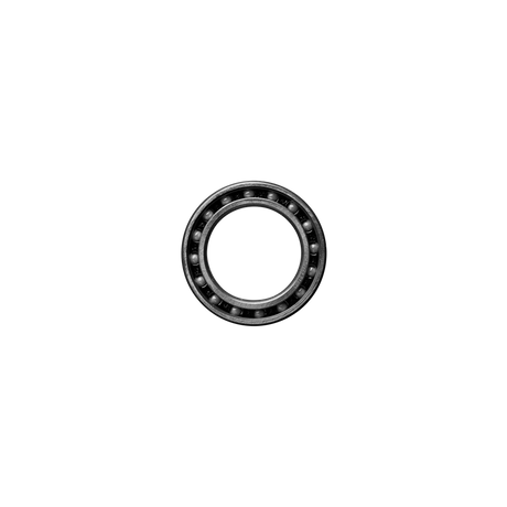 Ceramicspeed Single Bearing