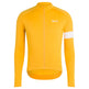 Core Long Sleeve Jersey - Wolfis