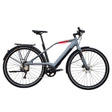 Logo FS10 Electric Bike - Wolfis